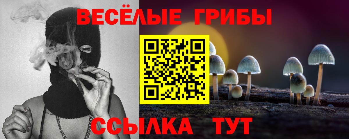 закладки  Псилоцибиновые грибы прущие грибы  Березники  Вход с VPN  Псилоцибиновые грибы мицелий 